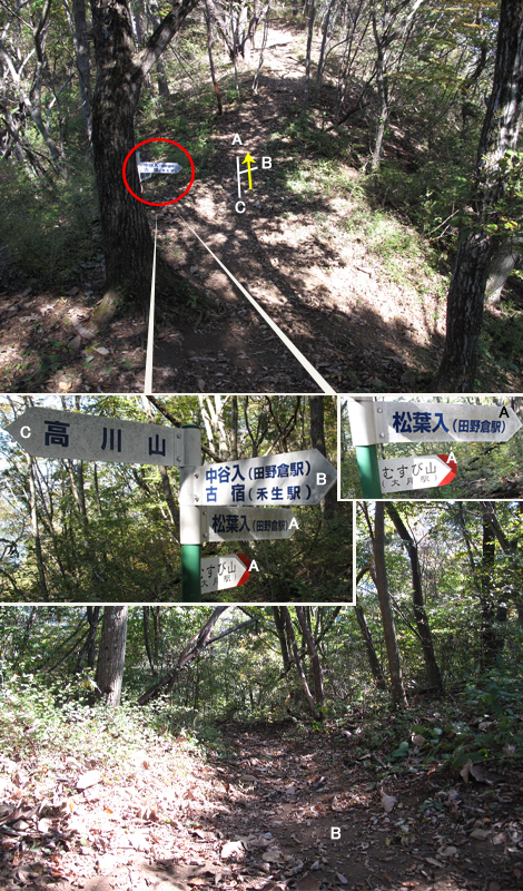 20161104hike (105)